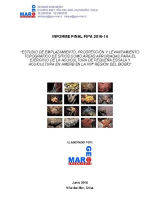 Informe Final : Estudio de prospección y levantamiento topográfico de sitios como A.A.A. de pequeña escala y acuicultura en AMERB en la VIII Región del Bío Bío