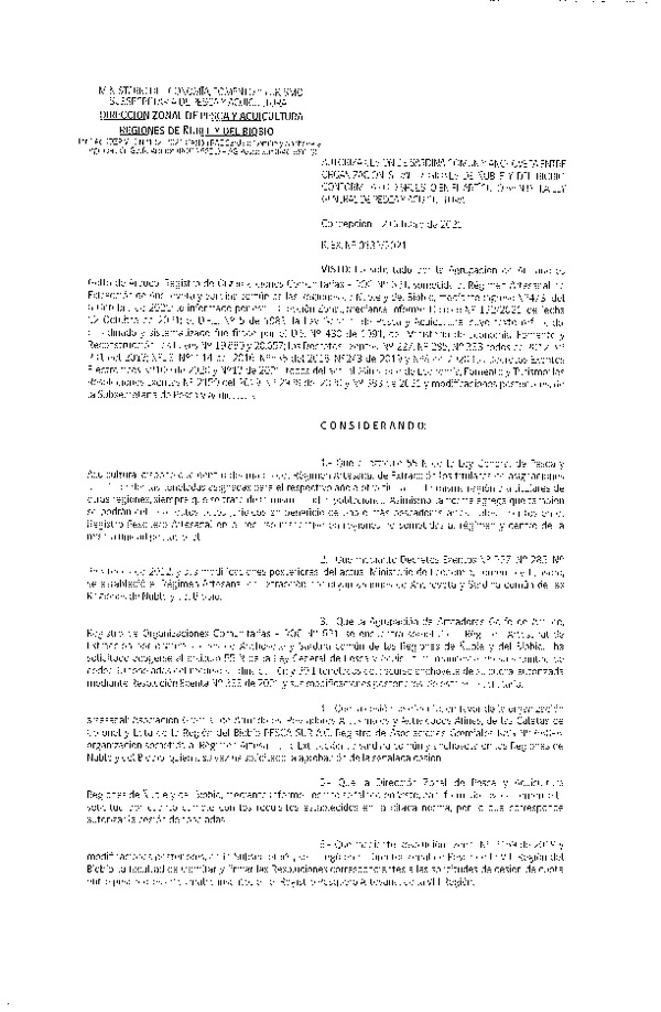 Res. Ex. N° 132-2021 (DZP Ñuble y del Biobío) Autoriza cesión Sardina Común y Anchoveta Región de Ñuble-Biobío (Publicado en Página Web 13-10-2021)