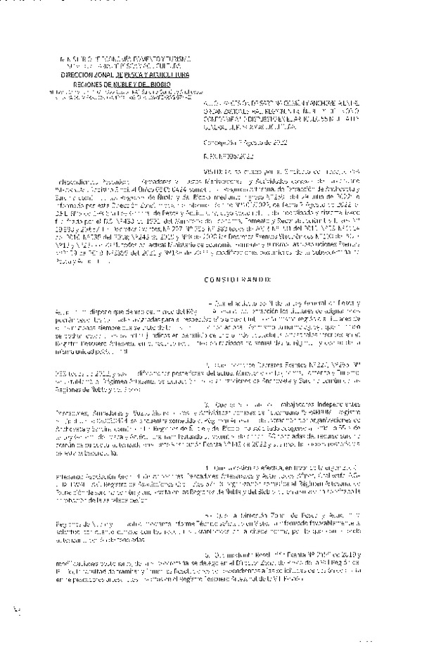 Res. Ex. N° 096-2022 (DZP Ñuble y del Biobío) Autoriza cesión Sardina común y Anchoveta. (Publicado en Página Web 02-08-2022)