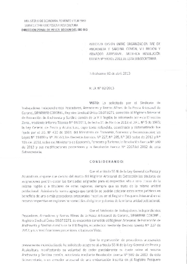 R EX N° 02-2013 (DZP VIII Región) Autoriza Cesión anchoveta y Sardina común VIII Región.