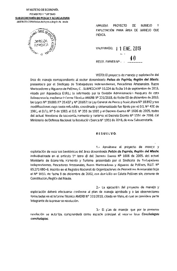 Res. Ex. N° 40-2019 Plan de Manejo.
