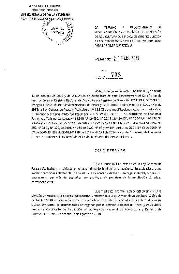 Res Ex. N° 703-2019 Da término a procedimientos de regularización cartográfica de concesión de acuicultura que indica.