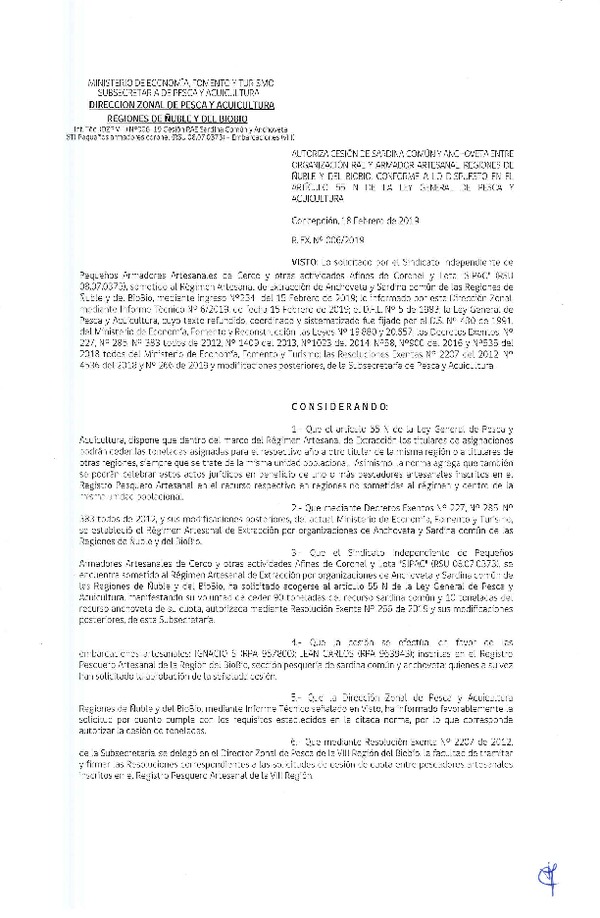 Res. Ex. N° 06-2019 (DZP VIII) Autoriza Cesión Anchoveta y Sardina común, Regiones de Ñuble y del Biobío.