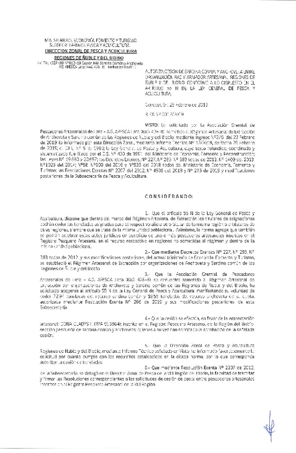 Res. Ex. N° 12-2019 (DZP VIII) Autoriza Cesión Anchoveta y Sardina común, Regiones de Ñuble y del Biobío.