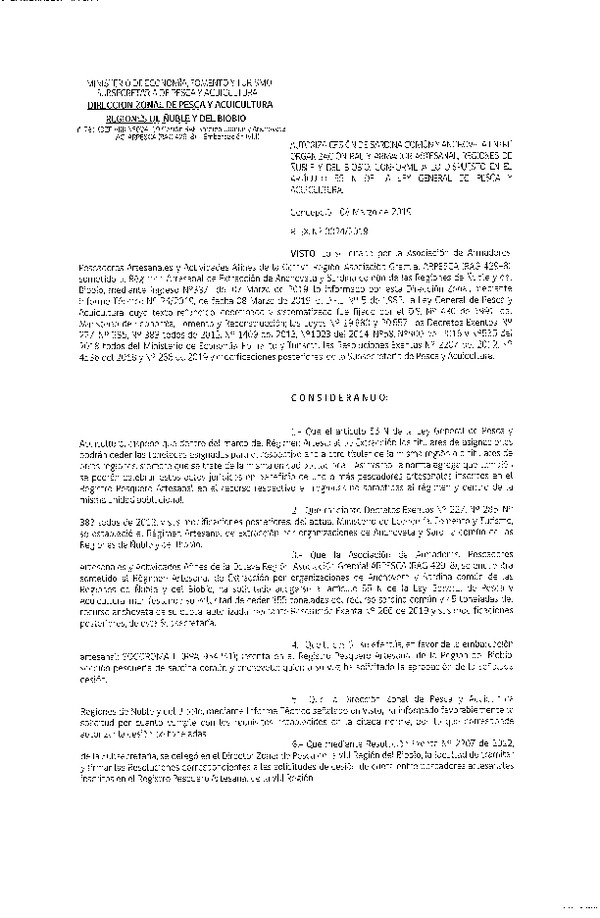 Res. Ex. N° 24-2019 (DZP VIII) Autoriza Cesión Anchoveta y Sardina común, Regiones de Ñuble y del Biobío.