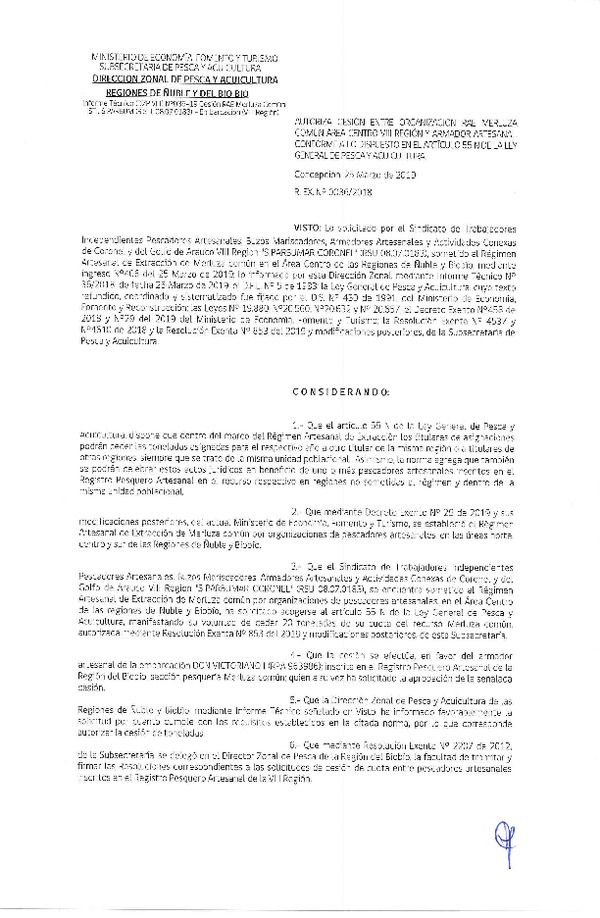 Res. Ex. N° 36-2019 (DZP VIII) Autoriza Cesión Anchoveta y Sardina común, Regiones de Ñuble y del Biobío.