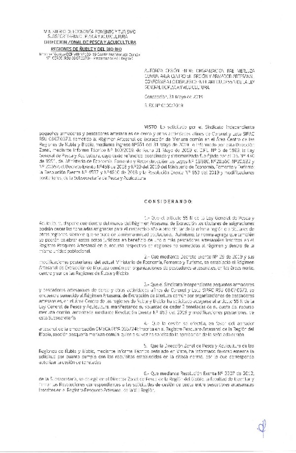 Res. Ex. N° 100-2019 (DZP VIII) Autoriza cesión Merluza común Regiones de Ñuble y del Biobío.