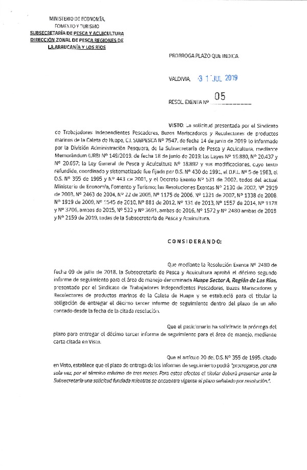 Res. Ex. N° 05-2019 (DZP Regiones de La Araucanía y Los Ríos) Prorroga 13° Seguimiento.