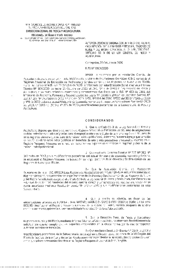 Res. Ex. N° 0104-2020 (DZP Ñuble y del Biobío) Autoriza cesión Sardina Común y Anchoveta Región de Ñuble-Biobío (Publicado en Página Web 28-10-2020)
