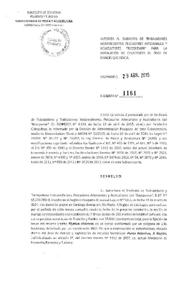 Res. Ex N° 1161-2015 INSTALACION DE COLECTORES.