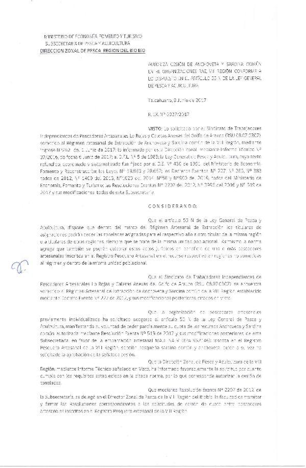 Res. Ex. N° 37-2017 (DZP VIII) Autoriza Cesión Anchoveta y sardina común, VIII Región.
