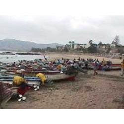 La nueva Ley de Pesca entrega medidas para un sector que necesitaba un cambio urgente La nueva Ley de Pesca entrega medidas para un sector que necesitaba un cambio urgente