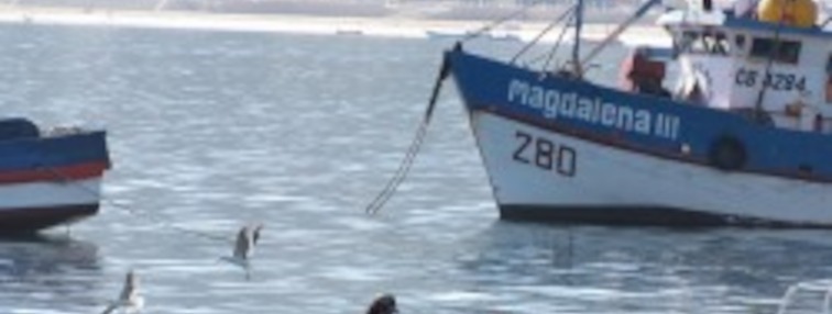 Difusión ley de pesca en Concepción