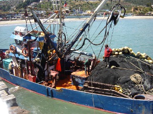 embarcación de sardinas embarcación de sardinas