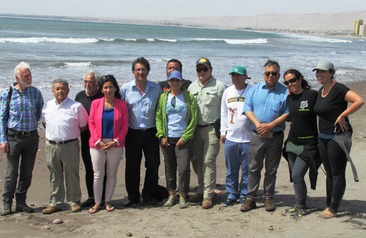 Grupo Nacional de Tortugas marinas se reunió en Arica