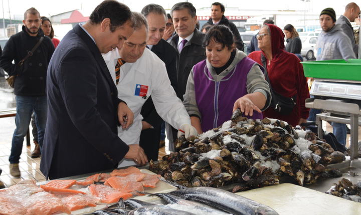Autoridades del Biobío llaman a consumir productos del mar