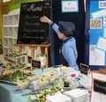 Feria Escolar Gastronómica "Pingüinos cocineros" busca incentivar el consumo de recursos marinos en niños