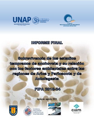 Informe final