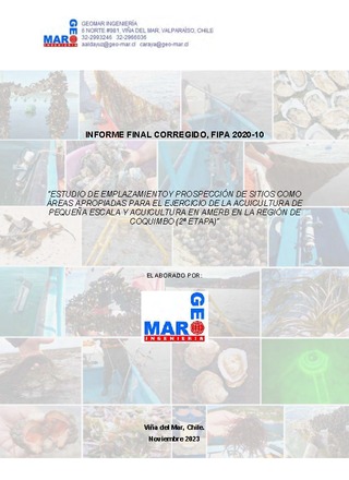 Informe final