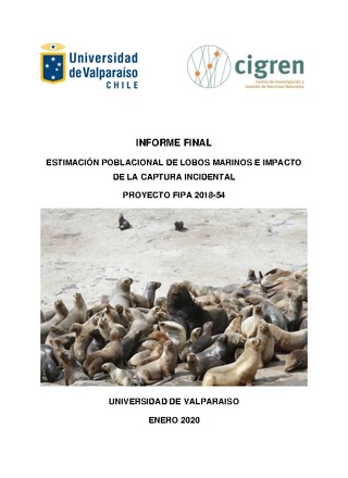 Informe final