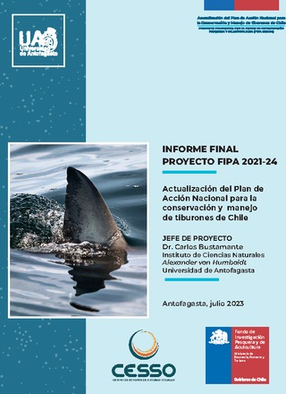 Informe final