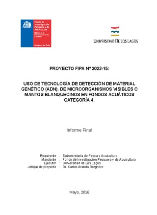 Informe final