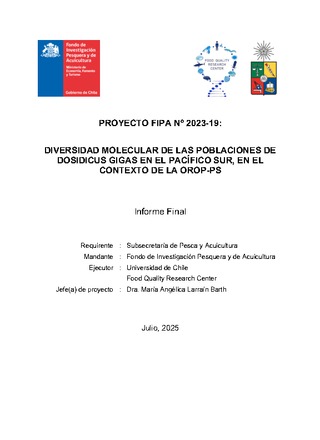 Informe final