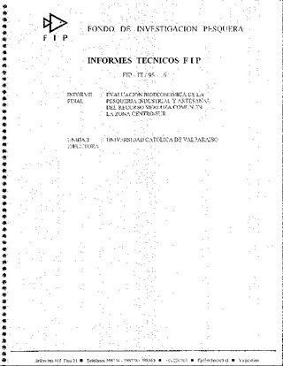 Informe Final : EVALUACION BIOECONOMICA DE LA PESQUERIA INDUSTRIAL Y ARTESANAL DE MERLUZA COMUN EN LA ZONA CENTRO-SUR