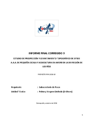 Informe final