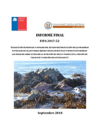 Informe Final : Evaluación de biomasa y análisis del estado de explotación de las praderas naturales de algas pardas (huiro negro, huiro palo y huiro flotador) en las áreas de libre acceso de la XV Región de Arica y Parinacota, I Región de Tarapacá y II Región de Antofagasta