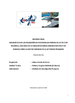 Informe final