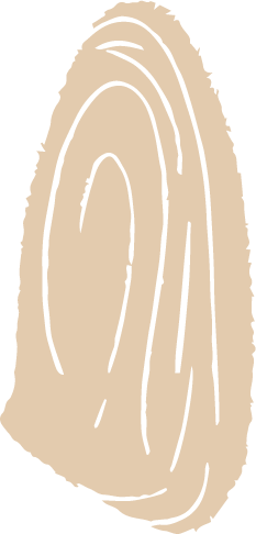 ilustración de una macha