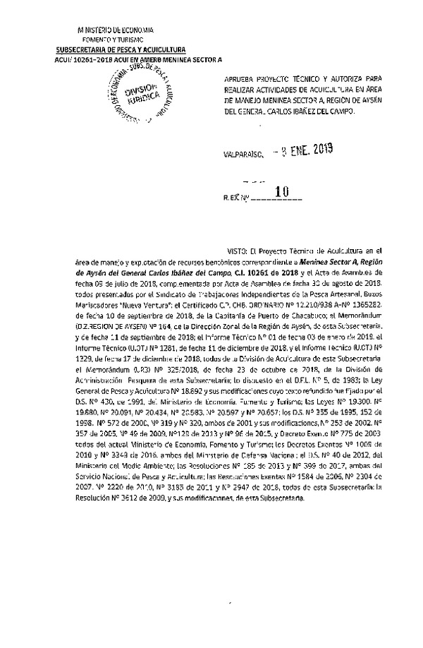 Res. Ex. N° 10-2019 Aprueba proyecto técnico para realizar actividades de acuicultura en área de manejo Meninea Sector A, Región de Aysén. (Publicado en Página Web 09-01-2019)