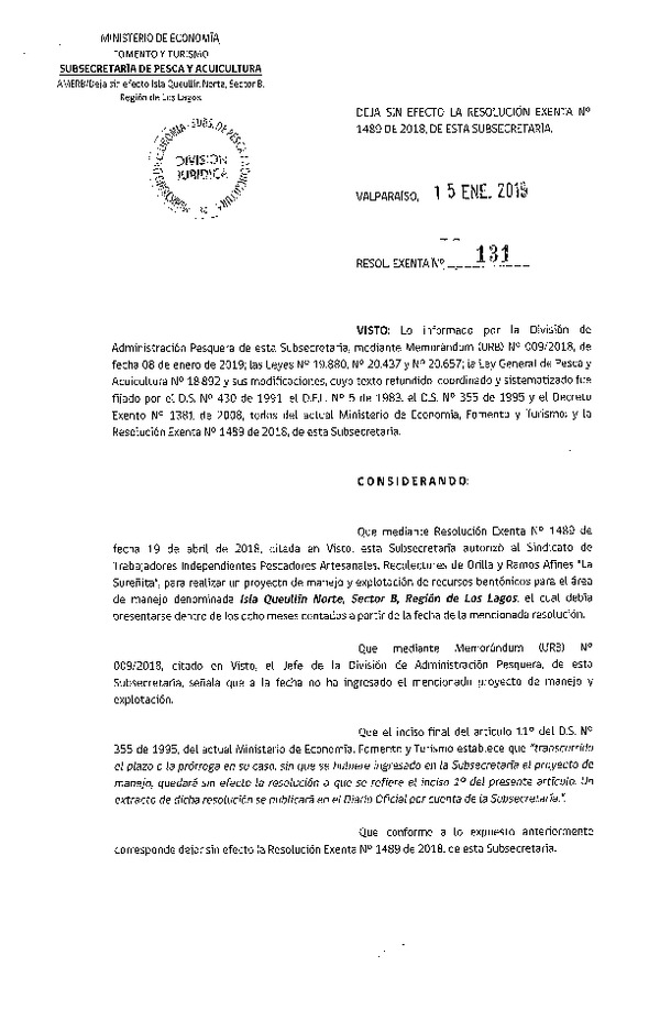 Res. Ex. N° 131-2019 Deja sin efecto Res. Ex. N° 1489-2018.