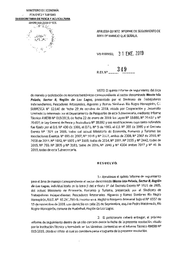 Res. Ex N° 349-2019. Aprueba Quinto informe de Seguimiento de Área de manejo que señala. (Weste Isla Pelada sector B, X).