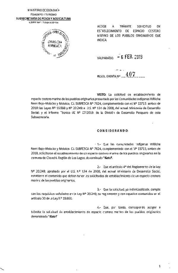 Res. Ex. N° 407-2019 Acoge a trámite solicitud de ECMPO Natri. (Publicado en Página Web 12-02-2019)