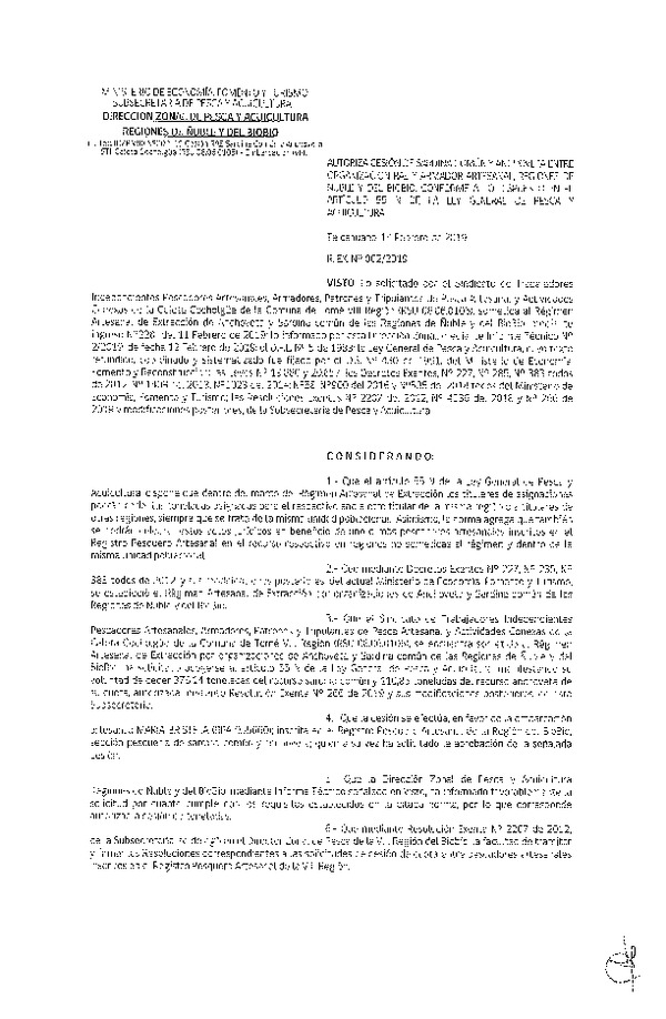 Res. Ex. N° 02-2019 (DZP VIII) Autoriza Cesión Anchoveta y Sardina común, Regiones de Ñuble y del Biobío.