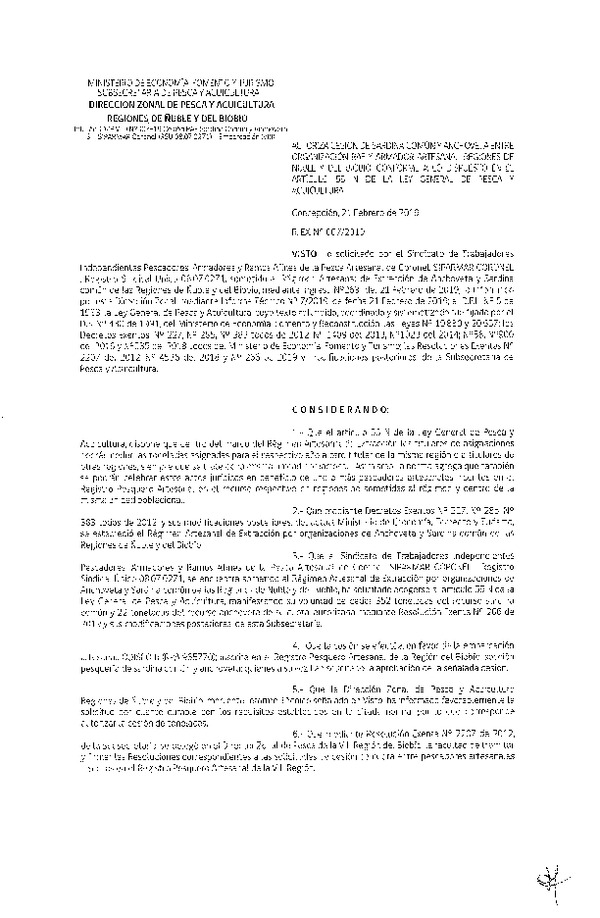 Res. Ex. N° 07-2019 (DZP VIII) Autoriza Cesión Anchoveta y Sardina común, Regiones de Ñuble y del Biobío.