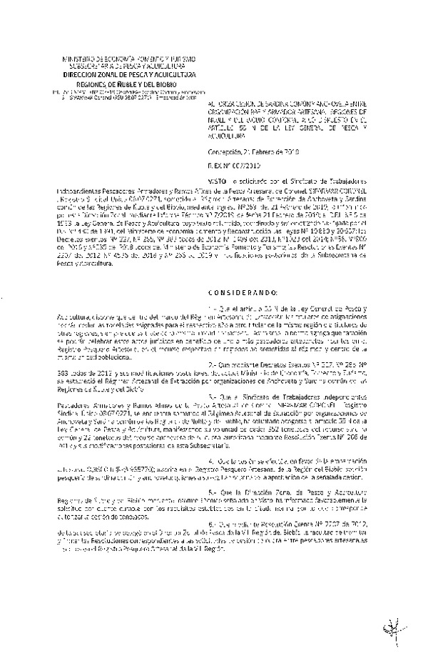 Res. Ex. N° 07-2019 (DZP VIII) Autoriza Cesión Anchoveta y Sardina común, Regiones de Ñuble y del Biobío.