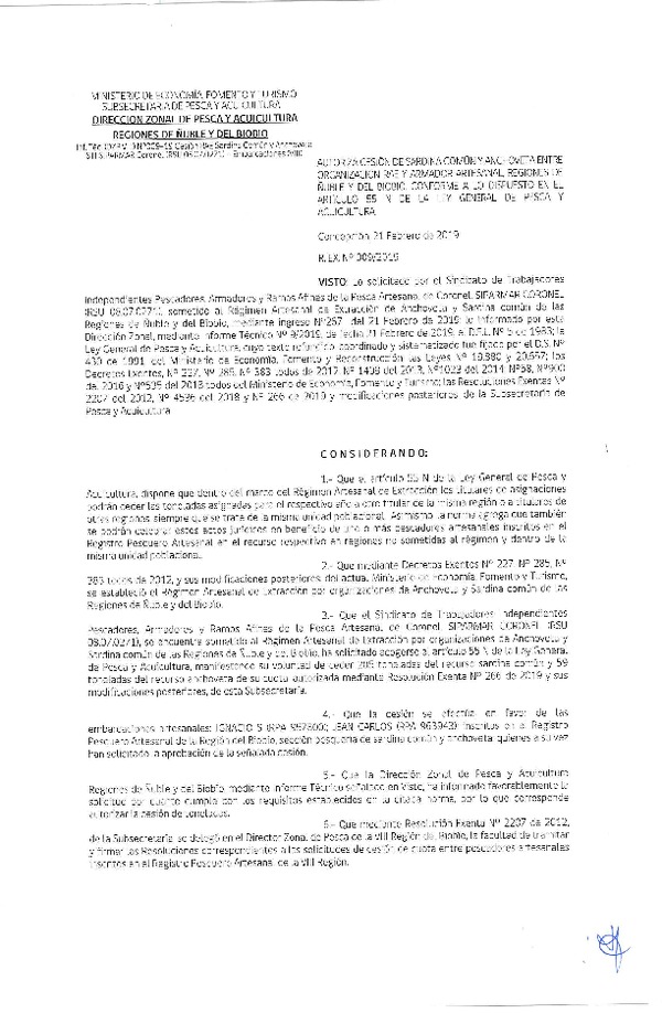 Res. Ex. N° 09-2019 (DZP VIII) Autoriza Cesión Anchoveta y Sardina común, Regiones de Ñuble y del Biobío.