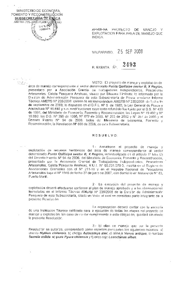 2493.pdf