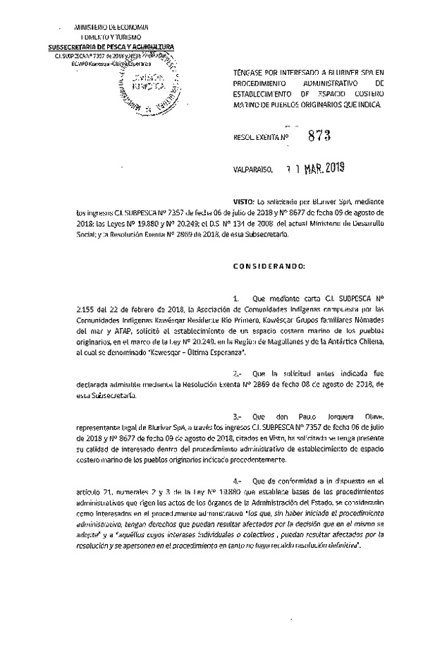 Res. Ex. N° 873-2019 Téngase por interesado a Bluriver Spa en Procedimiento Administrativo de Establecimiento de ECMPO que Indica. (Publicado en Página Web 12-03-2019)