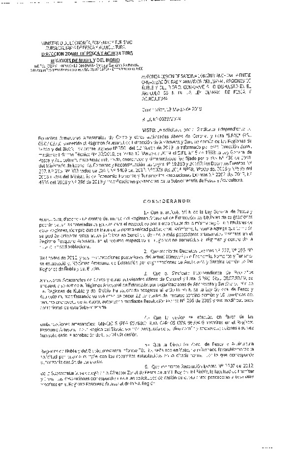 Res. Ex. N° 33-2019 (DZP VIII) Autoriza Cesión Anchoveta y Sardina común, Regiones de Ñuble y del Biobío.