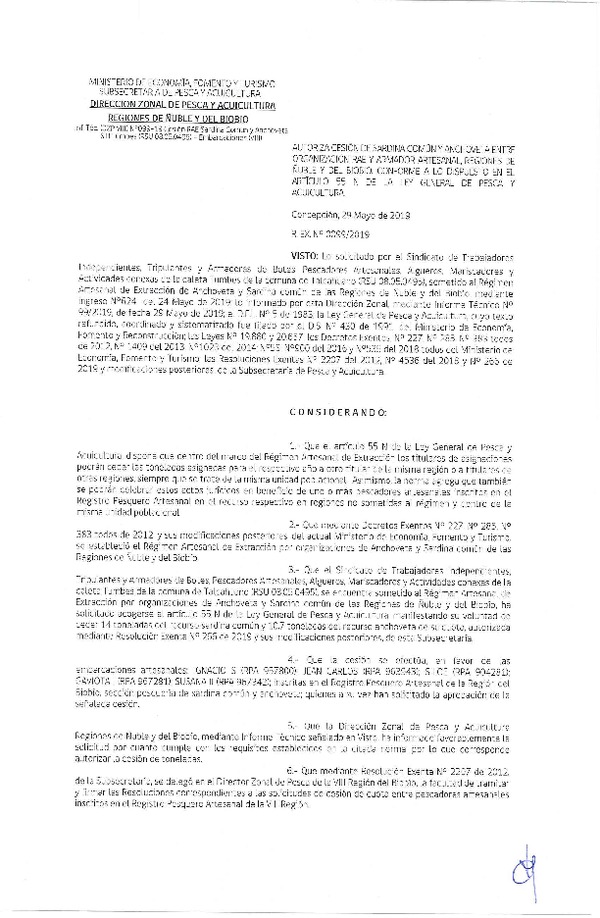 Res. Ex. N° 99-2019 (DZP VIII) Autoriza cesión Anchoveta y sardina común Regiones de Ñuble y del Biobío.