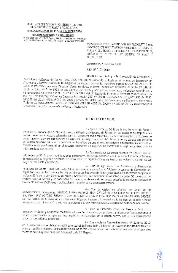 Res. Ex. N° 123-2019 (DZP VIII) Autoriza cesión Anchoveta y sardina común Regiones de Ñuble y del Biobío.