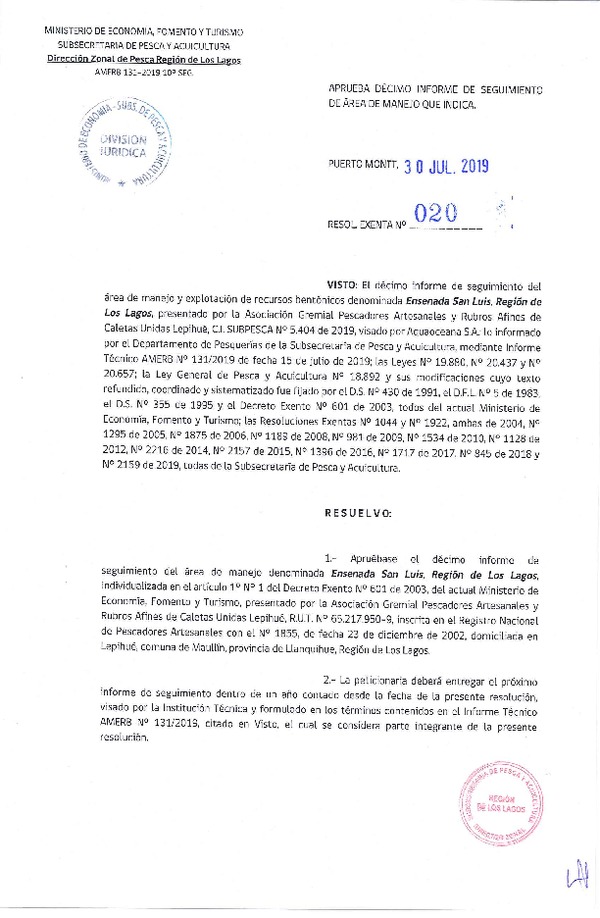 Res. Ex. N° 20-2019 (DZP Región de Los Lagos) 10° Seguimiento.