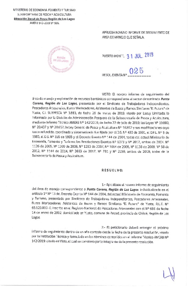 Res. Ex. N° 25-2019 (DZP Región de Los Lagos) 9° Seguimiento.