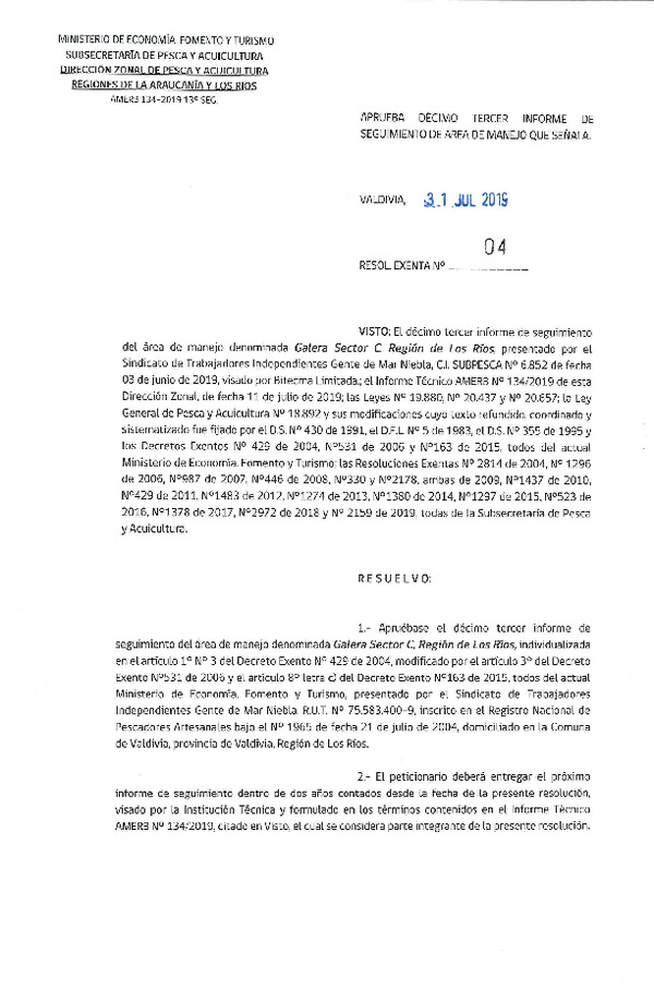 Res. Ex. N° 4-2019 (DZP Región de La Araucanía y Los Ríos) 13° Seguimiento.