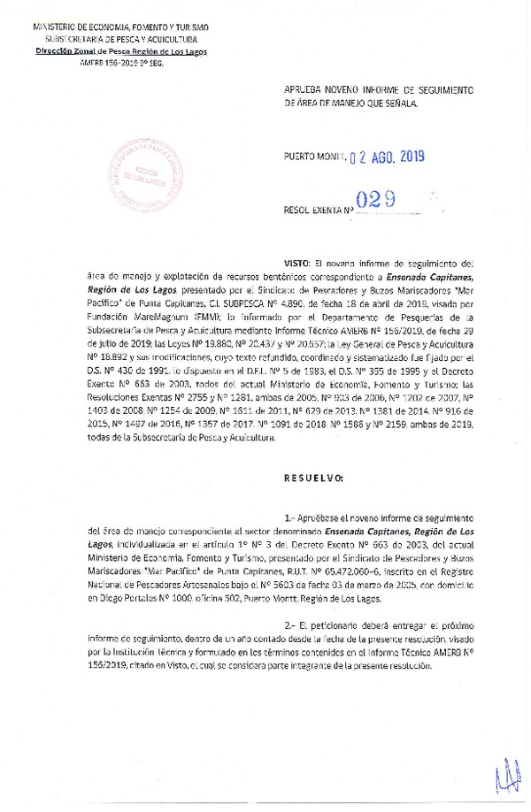 Res. Ex. N° 29-2019 (DZP Región de Los Lagos) 9° Seguimiento.