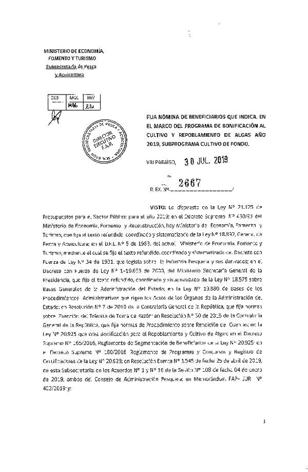 Res. Ex. N° 2667-2019 Fija nómina de beneficiarios que indica, en el marco del programa de bonificación al cultivo y repoblamiento de algas año 2019, subprograma cultivo de fondo. (Publicado en Página Web 08-08-2019)